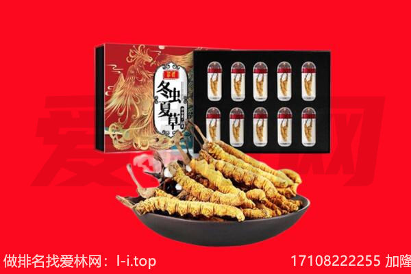 淮安市洪泽回收虫草.jpg